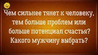 Чем сильнее тянет к человеку тем больше проблем или счастья? Какого мужчину выбрать? Александр Шемец