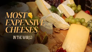 The most EXPENSIVE CHEESES in the WORLD!