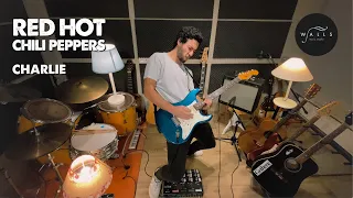 Red Hot Chili Peppers - Charlie - cover by Pablo Diaz Fanjul