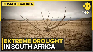 Drought leaves millions hungry in Southern Africa | WION Climate Tracker