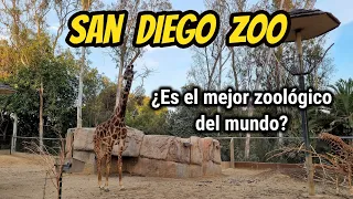 El MEJOR ZOOLÓGICO del MUNDO / San Diego Zoo / ¿Está sobrevalorado?