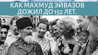 КАК МАХМУД ЭЙВАЗОВ дожил до 152 лет.  По пути академика Друзьяка, часть 1