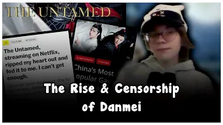 The Rise & Censorship of Danmei (Chinese BL) | A Brief Overview