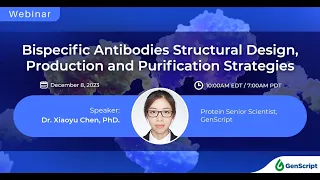 Bispecific Antibodies Structural Design, Production and Purification Strategies