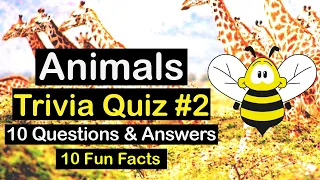 Exciting Animals Trivia Quiz (Animal Kingdom #2) - 10 Epic Questions & Answers - 10 Fun Facts