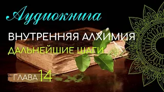 АУДИОКНИГА. Глава 14.  Дальнейшие шаги. Внутренняя алхимия.