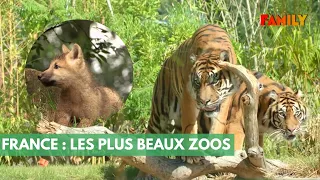 Dans les coulisses des plus beaux zoos de France