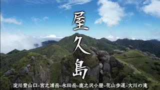 『屋久島縦走登山』一泊二日録 | 世界自然遺産を歩く