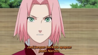 Naruto Shippuden Episode 206 Bahasa Indonesia