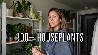 A Real Day of Houseplant Chores | Relaxing Indoor Plant Care Routine
