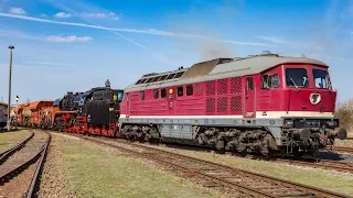 Frühlingsfest in Bw Stassfurt am 30.3.2019 , 03 1010, 91 134 und 44 1486 unter Dampf