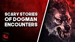 THEY EXIST EVERYWHERE - 2 SCARY DOGMAN SIGHTINGS AND DOGMAN ENCOUNTERS - What Lurks Beneath