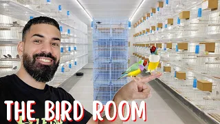 EXOTIC BIRDKEEPER cleaning the Bird Breeding Room & Aviary 🦚