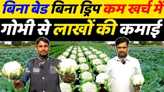 फूलगोभी की खेती कब और कैसे करें | phool gobhi ki kheti kaise karen | gobhi ki kheti ki jankari