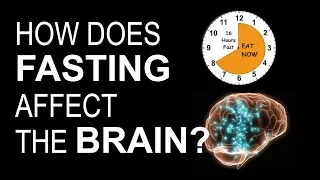 How does FASTING affect the BRAIN? The real science behind fasting