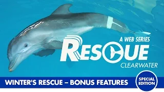 Winter’s Rescue - Rescue Clearwater Season 1 Bonus Episode