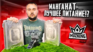 МИФЫ АВТОЗВУКА: ТЕСТ манганата для авто!