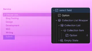 Use Webflow Custom Element to render select options from CMS