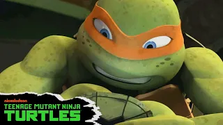 Mikey Checks Out His So-Shell Feed 📱 | TMNT (2012) | Teenage Mutant Ninja Turtles