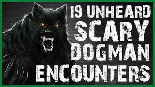 19 UNHEARD SCARY DOGMAN ENCOUNTER HORROR STORIES