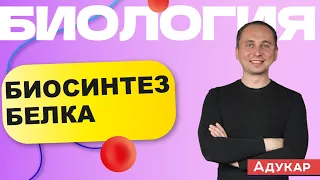 Биосинтез белка | Биология