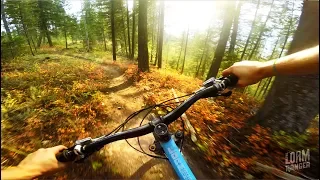 HARD TO BELIEVE IT'S REAL // Golden BC Dirt Epic 8