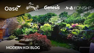 Modern Koi Blog #6073 - Ein genial angelegter Teich im Tiefhof