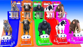 5 Giant Duck, Monkey, Lion, chicken, cow, Woolly Mammoth, Sheep, Transfiguration funny animal 2023