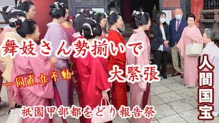 5/1(水)あの人間国宝に舞妓さんも大緊張、舞妓さん勢揃いの煌びやかな報告祭【特別版】八坂神社