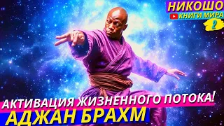 Как Убрать Лень и Апатию и Начать Наслаждаться Жизнью?! НИКОШО и Аджан Брахм