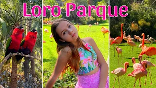 LORO PARQUE, Тенерифе - ЛУЧШИЙ ZOO в мире!! Канарские острова || Tenerife, Canary Islands