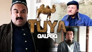 Qalpoq - Tuya | Калпок - Туя (hajviy ko'rsatuv)
