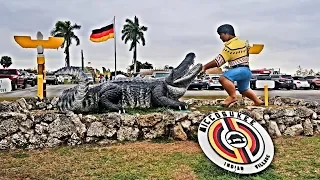 Miccosukee Indian Village Arts & Crafts Festival | Alligator Wrestling