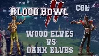 Blood Bowl 2 - Wood Elves (the Sage) vs Dark Elves + discussion with dode 2- COL G21