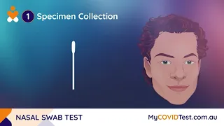 All Test SARS-CoV-2 Antigen Rapid Test ( Nasal Swab)  Easy at home test kit for Coronavirus