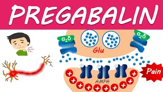 Pregabalin (Lyrica) : Uses, dosage and side effects