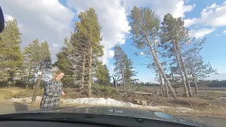 First day driving through Yellowstone National Park