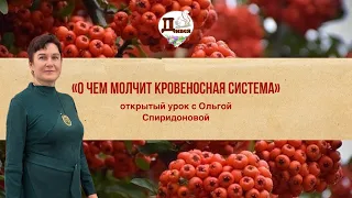 NEW! Открытый урок по кровеносной системе с травницей. Важная информация! Доступ до 2.11.2023.