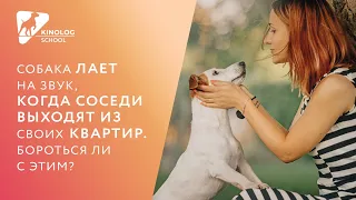 Собака лает на звук, когда соседи выходят из своих квартир. Бороться ли с этим?