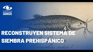 Río Bogotá: reviviendo el legado del pez capitán