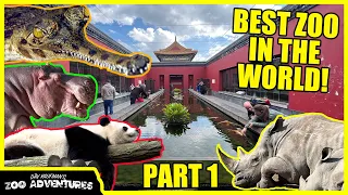 THE MOST INCREDIBLE ZOO IN THE WORLD! (Pairi Daiza) PART 1 with @KINOVAReptiles
