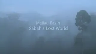 Maliau Basin, Sabah Lost World.