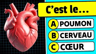 🧠 Connais-tu le Corps Humain...? 🧍💪🧬 Quiz de Culture Générale sur l'ANATOMIE