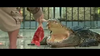 CROC HOLLYWOOD MOVIE IN HINDI