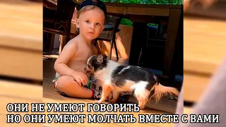 Лиза Арзамасова и Илья Авербух показали трогательные кадры с сыном и старенькой собак