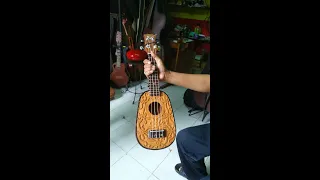 Bali Ukulele Review