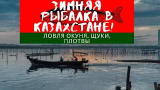 Зимняя рыбалка в Казахстане! Ловля окуня, щуки, плотвы