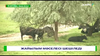 Жайылым мәселесі шешіледі