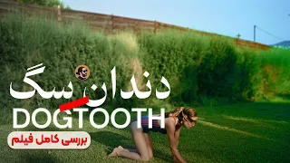 Dogtooth | بررسی کامل مفاهیم فیلم دندان سگ