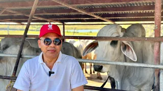 Bakahan tour: Balikbayan from Australia sharing lessons to new cattle farmers